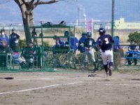 harutai 159